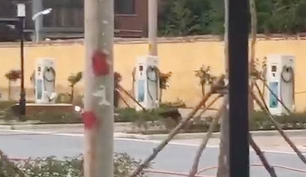 駐馬店市公共停車場充電站80kW雙槍直流充電樁項(xiàng)目案例